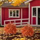 thumbnail image 1 of Outdoor Color Baby's Breath Ground Plug Simulation Plant Ground Nail Decoration Courtyard Garden Ground Fake Flowers, 1 of 6
