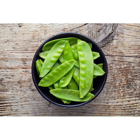 50 Seeds Mammoth MELTING SUGAR PEA Stringless Snow Pea Pisum Sativum Vegetable Seeds