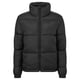 thumbnail image 1 of TriDri - Chaqueta Acolchada para Mujer (Negro) TriDri UTRW8307_black, 1 of 2