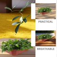 thumbnail image 5 of 10Pcs Bonsai Training Pots Rectangular Plastic Growing Pot Bonsai Succulent Planter Pot Flower Holder Container for Home Office Balcony Garden Yard Da, 5 of 5