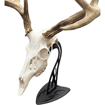 Skull Hooker Table Hooker Powder Coated Steel Trophy Mount - Perfect Kit for Table Display of Taxidermy Deer Antlers and Other Skulls, Graphite Black