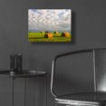 thumbnail image 5 of Epic Art 'Approaching Storm - Haystacks' by David Hammond, Acrylic Glass Wall Art, 16"x12", 5 of 8