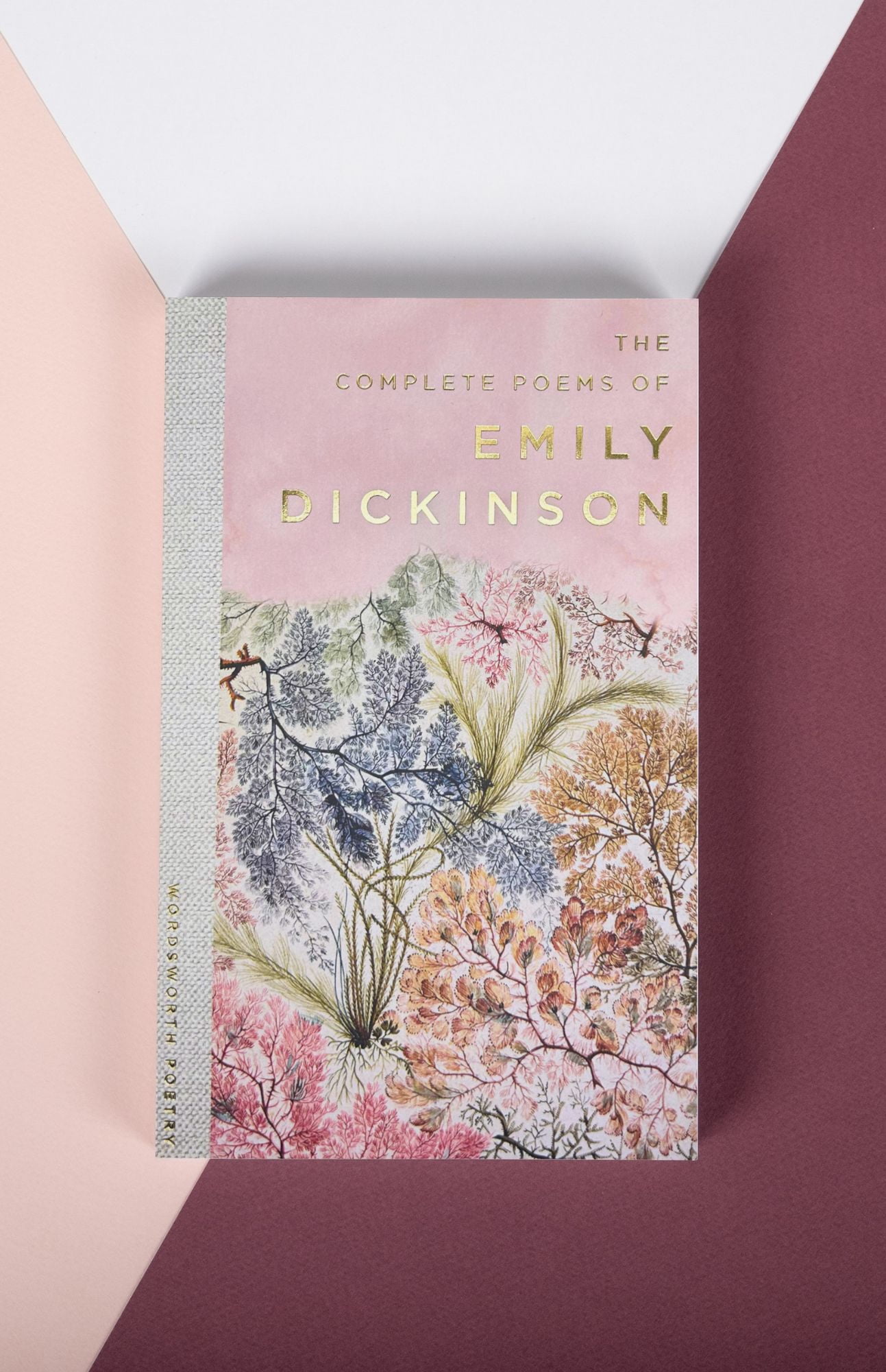 その他 Great Women Writers: Emily Dickinson [DVD] Great Women Writers: Emily Dickinson DVD 32031217294| eBay