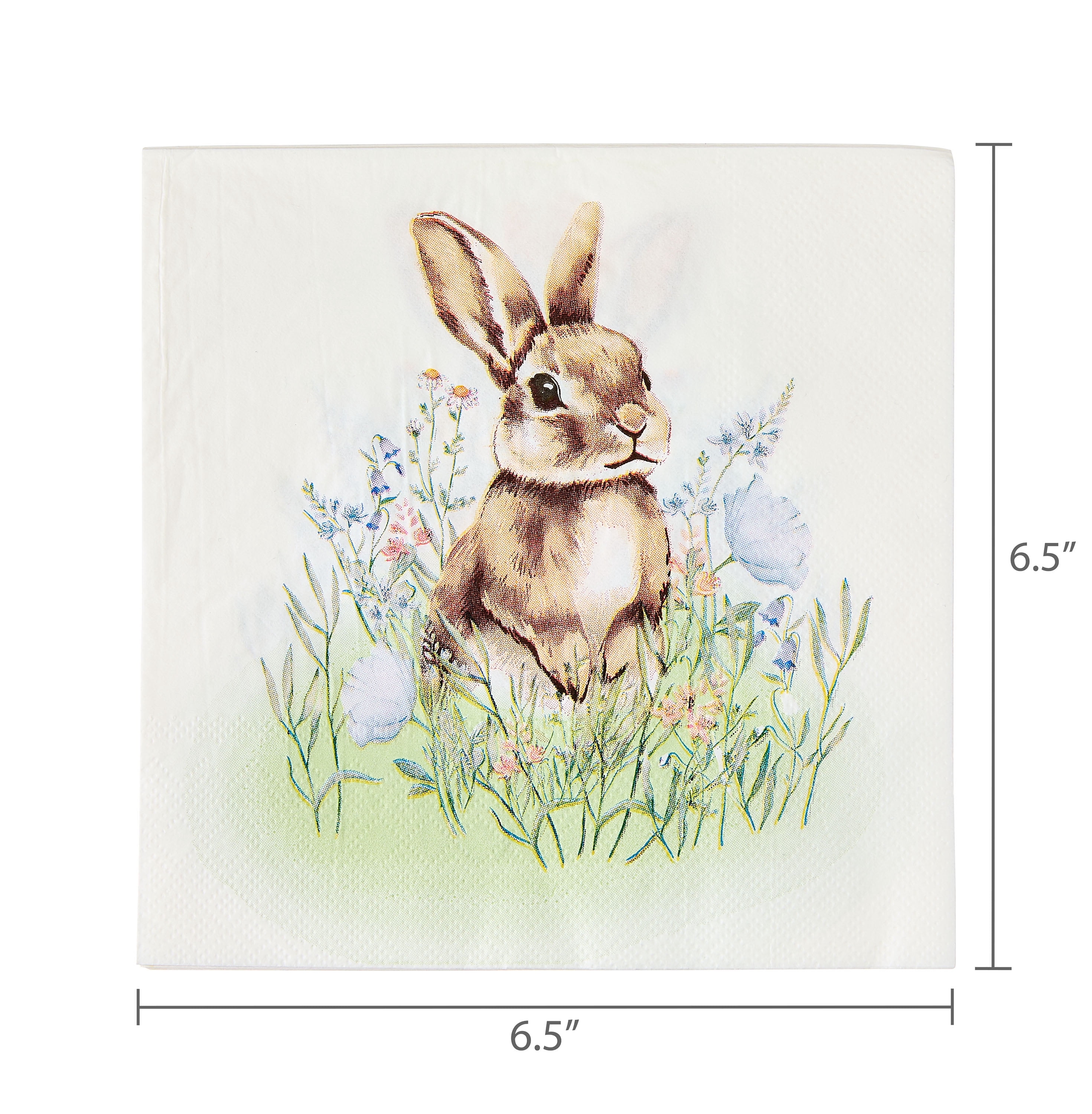 6.5" x 6.5" Multicolor Bunny Paper Napkins, 16 Count, Easter by Way To Celebrate