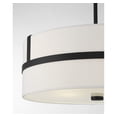 thumbnail image 6 of Trade Winds Lighting 4-Light Pendant Light In Matte Black, 6 of 6