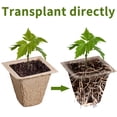 thumbnail image 4 of 240Cells Seedling Starter Trays,20Pack Starter Trays for Planting,Biodegradable Seed Starter Peat Pots for Planting Seeds,Bonus 200 Plant Labels,2pcs Seeding Riser,1 Spray Bottle,Indoor Germination, 4 of 9