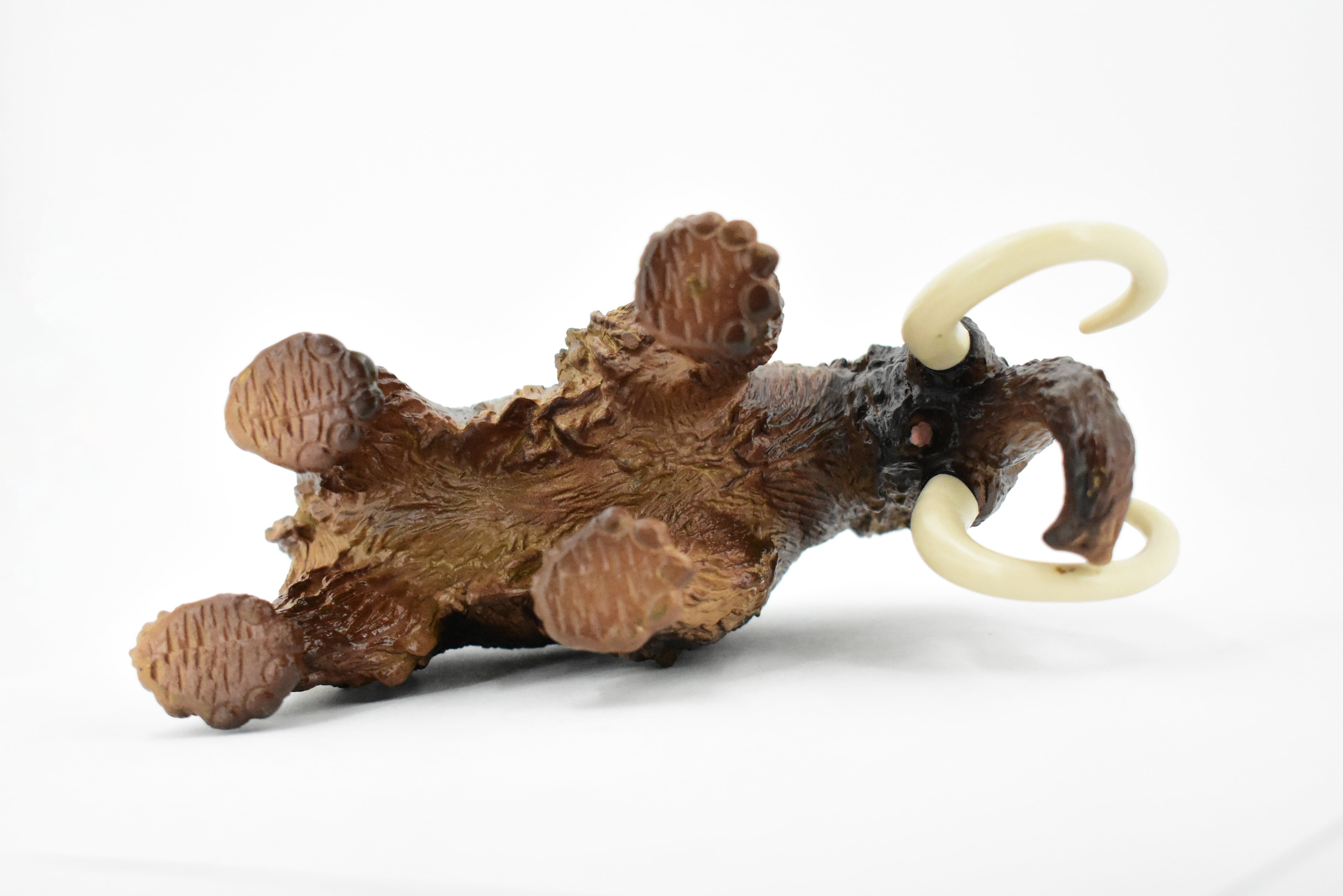 Wooly Mammoth, Prehistoric Mammal, Museum Quality, Hand Painted