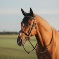 thumbnail image 3 of Gorro Horse Fly Equine Care, tamaño completo, de algodón negro, tejido a ganchillo, 3 of 4