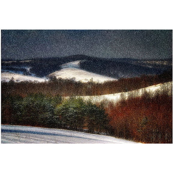 Trademark Fine Art Lois Bryan 'Mountain Snow Storm' Canvas Art 16x24 Inches