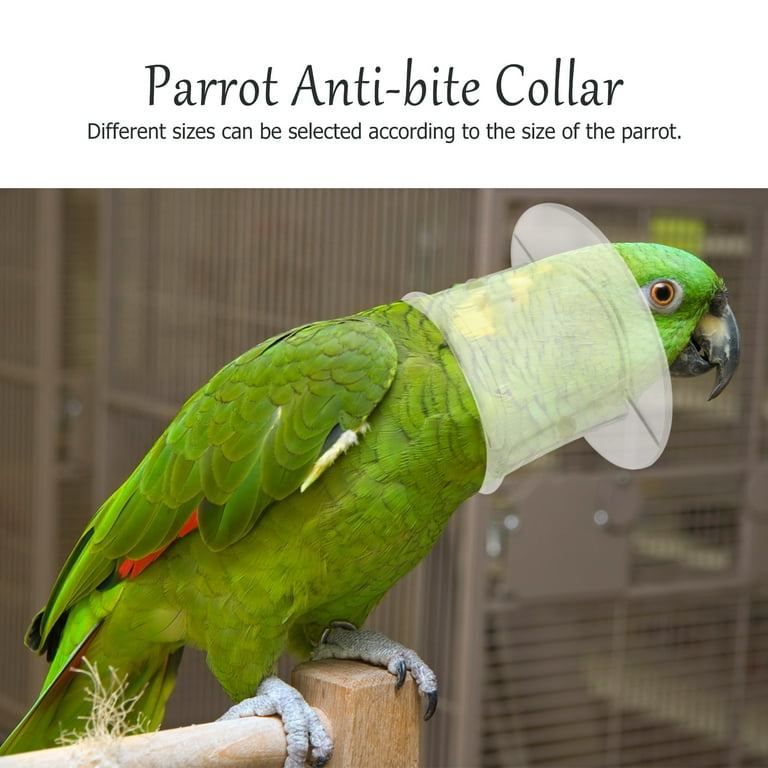 Collar Parrot Bird Plucking Bite Anti Supplies Recovery Neck Cone