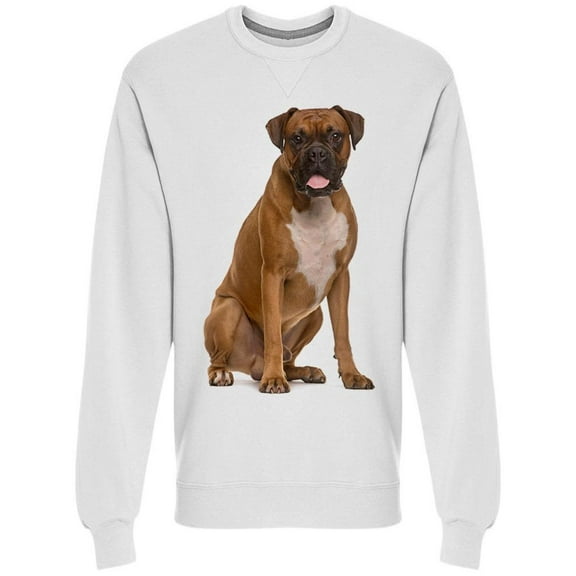 Boxer Looking At The Camera Sweatshirt Men -Image by Shutterstock, Male Medium