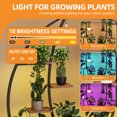thumbnail image 4 of Craftian 63" Plant Stands Indoors with Grow Lights, Half Moon Metal Storge Shelf,Multiple Pots Metal Flower Stands, 4 of 10