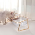 thumbnail image 4 of Cuencos Transparentes Para Gatos Cuencos Para Gatos Suministros De Alimentación Para Mascotas Comida Para Gatos Elevada Cuenco De Agua Boca Inclinada Transparente Cuencos Elevados ANGGREK Otros, 4 of 8
