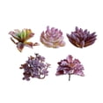 thumbnail image 2 of 5pcs Simulation Succulent Flower, 2 of 3