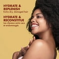 thumbnail image 3 of Sheamoisture Manuka Honey & Mafura Oil Shampoo With Fig Extract And Baobab Oil?- Hydrate + Replenish, Shea Moisture Curly Hair Products To Nourish And Soften Hair, 13 Oz Ea (Pack Of 4), 3 of 3
