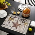 thumbnail image 3 of Texas Star Vintage Placemats Set of 4, Brown Retro Berry Beige Wooden Placemats for Dining Table, Place Mats for Kitchen Tabletop, Waterproof Wipeable Dining Table Mats Set, 3 of 9