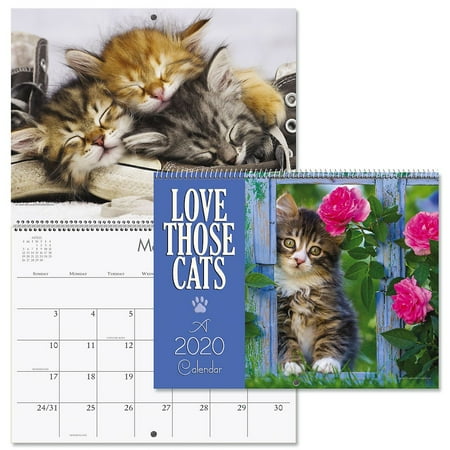 2020 Love Those Cats Wall Calendar- 12" x 9", bookstore quality, spiral