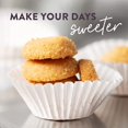 High Key Sugar Free Cookies Vanilla Shortbread Keto Snack Food Low Carb ...