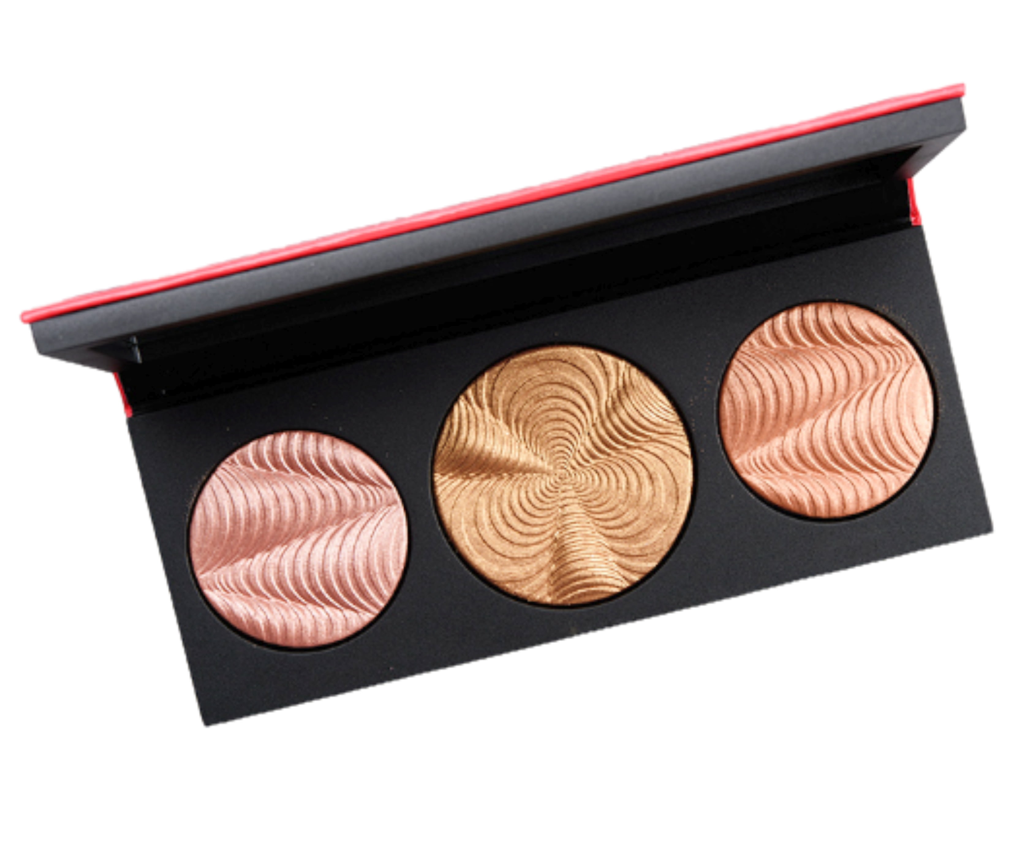 Bellapierre 12 Farben Pro Lippenpalette – 13 G Mit Spiegel Und Doppelpinsel