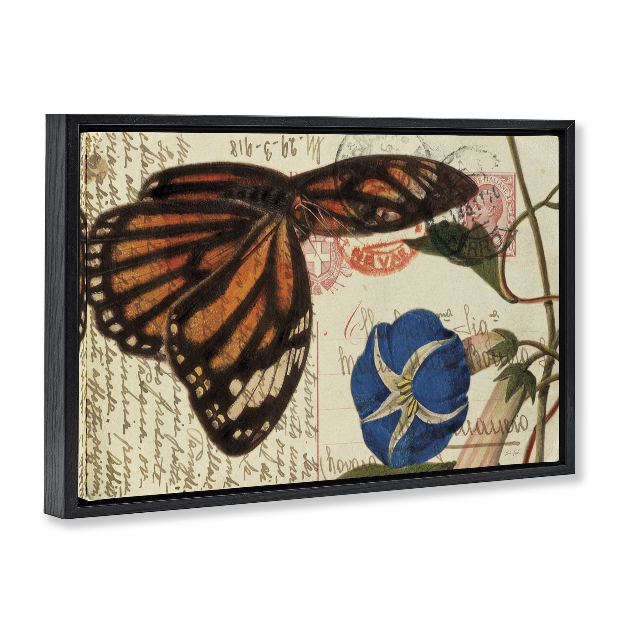 Stupell Industries Vintage Postcard & Fauna Insects Painting Black Floater Framed Canvas Art Print Wall Art, 25 x 17