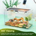thumbnail image 5 of Gecko Tank & Reptile Terrarium Kit with Heat Lamp, Spray Bottle, Tools & Hideout - Perfect Habitat for Lizards, Snakes, Turtles, Hermit Crabs, Frogs, Jumping Spiders 8x8x6 Inch, 5 of 9
