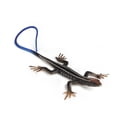 thumbnail image 1 of Regalos lindos del juguete del reptil del plástico Juguetes divertidos Regalos divertidos, 1 of 5