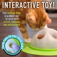 thumbnail image 3 of Cuenco interactivo para gatos que cavan lentamente, comedero Franklin Pet, 3 of 9