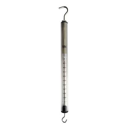 eisco labs economy dynamometer - spring balance, high resolution, 100g/1n