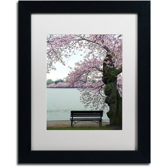 Trademark Fine Art "Tranquility" Canvas Art by CATeyes, White Matte, Black Frame