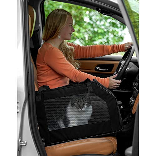 20 pound cheap car seat