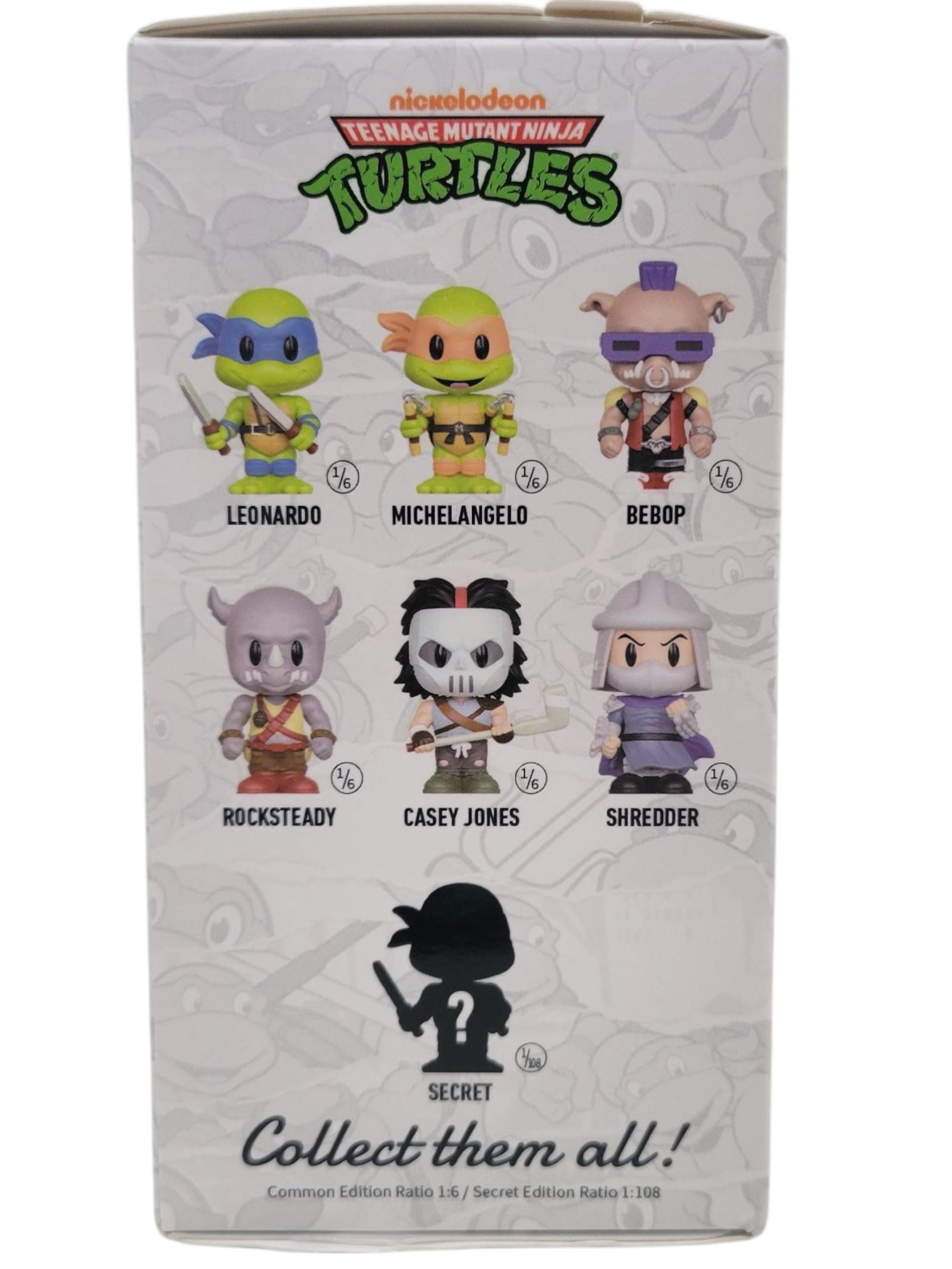 Thrilljoy PIXL Teenage Mutant Ninja Turtles Blind Box Figure