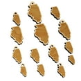thumbnail image 1 of Illinois State Silhouette Wood Mini Charms Shapes DIY Craft Jewelry - No Hole - Various Sizes (16pcs), 1 of 7