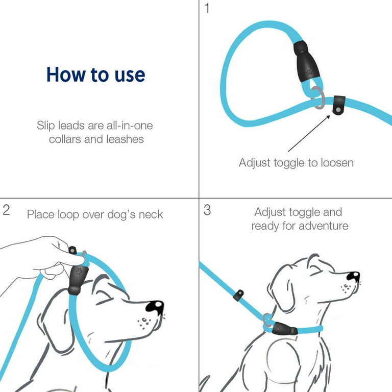 WePet Dog Training Slip Leash, Dog Slip Lead, Puppy Obedience