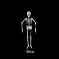 thumbnail image 1 of MesaSe 90/150Cm Poseable Human Skeleton Halloween Decoration Party Prop, 1 of 5