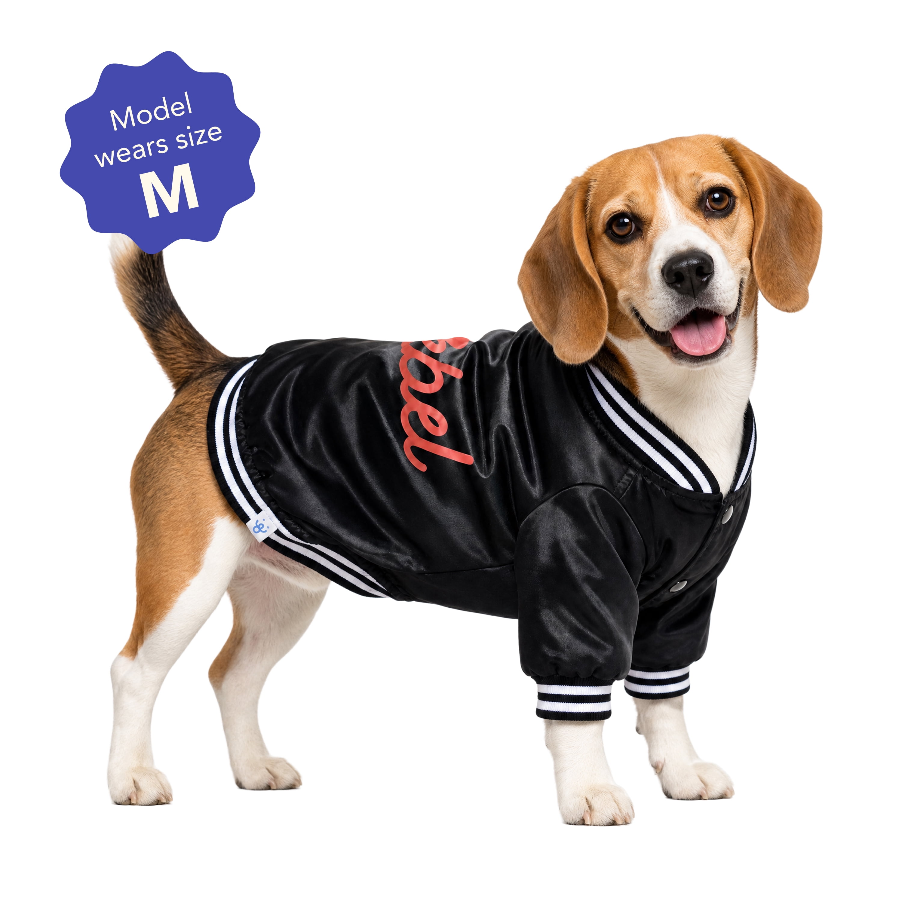 Oodles Rebel Fall Dog Jacket, Black, Medium