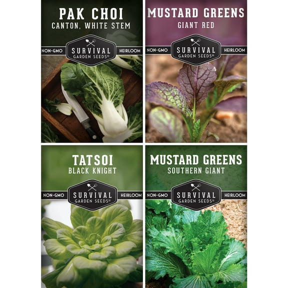4 Mustard Greens Seeds Collection - GMO Free, Heirloom Full Sun Biennial Vegetables
