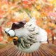 thumbnail image 4 of Divertida estatua de jardín de pollo decoración figuras de gallina de resina Animal decorativo para patio granja Patio césped Micro paisaje - C Sunnimix Estatua de pollo, 4 of 7