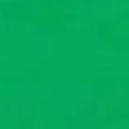 thumbnail image 4 of Playera Blusa Con Impresion De 3 Capybaras Bebes Fashion Ropa para Mujer Capibara Color Verde Talla Chica Marca Emil SaEs, 4 of 4