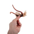 thumbnail image 3 of Unique Bargains 1 Pc Fashionable Bow Design Hair Clips for Home Brown Khaki, 3 of 5