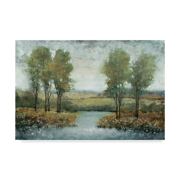 Trademark Fine Art 'Stream Side II' Canvas Art by Tim OToole