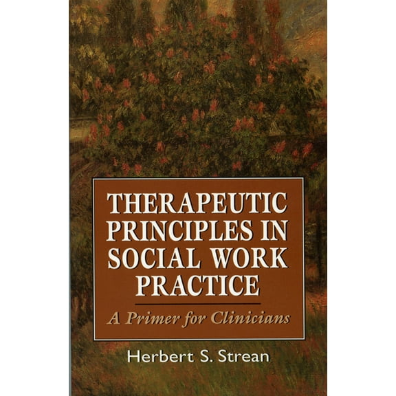 Master Work Therapeutic Principles in Social Work Practice: A Primer for Clinicians, (Paperback)