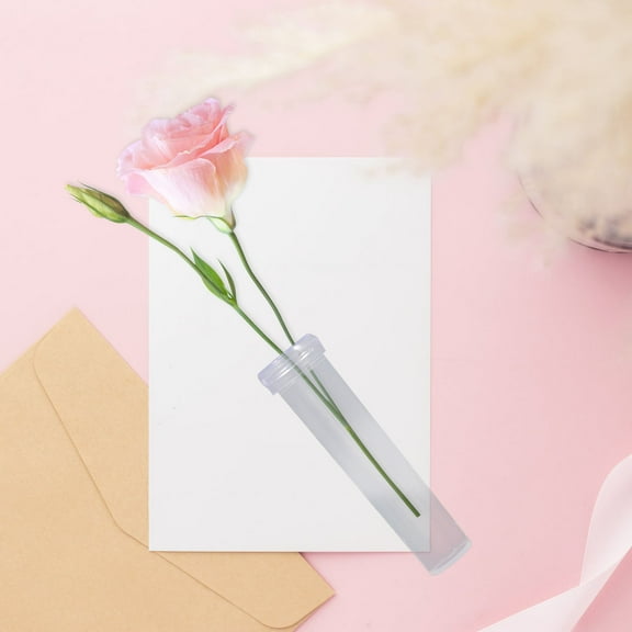 PBPBOX 100Pcs Plant Watering Devices Indoor Potted Plants Transparent Plastic Tube