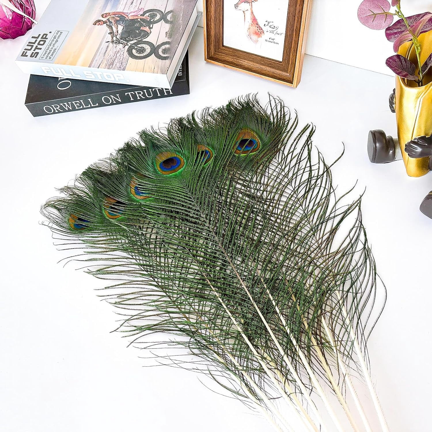 Piokio 30 pcs Peacock Feathers in Bulk 20-23inch(50-60 cm) Bulk for DIY Craft, Wedding, Halloween Decoration