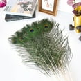 thumbnail image 5 of Piokio 50 pcs Natural Peacock Feathers in Bulk 20-23inch (50-60 cm) Bulk for DIY Craft, Wedding, Decoration, 5 of 6