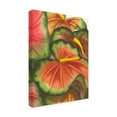 thumbnail image 2 of Trademark Fine Art 'Anthuria II' Canvas Art by Jason Higby, 2 of 4