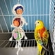 thumbnail image 2 of Juguete para columpio Ticfox para pájaros 2 piezas jaula para loros, 2 of 12