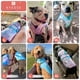 thumbnail image 5 of Chaleco Refrescante para Perros KYEESE Ligero 3D Transpirable Morado XL, 5 of 9