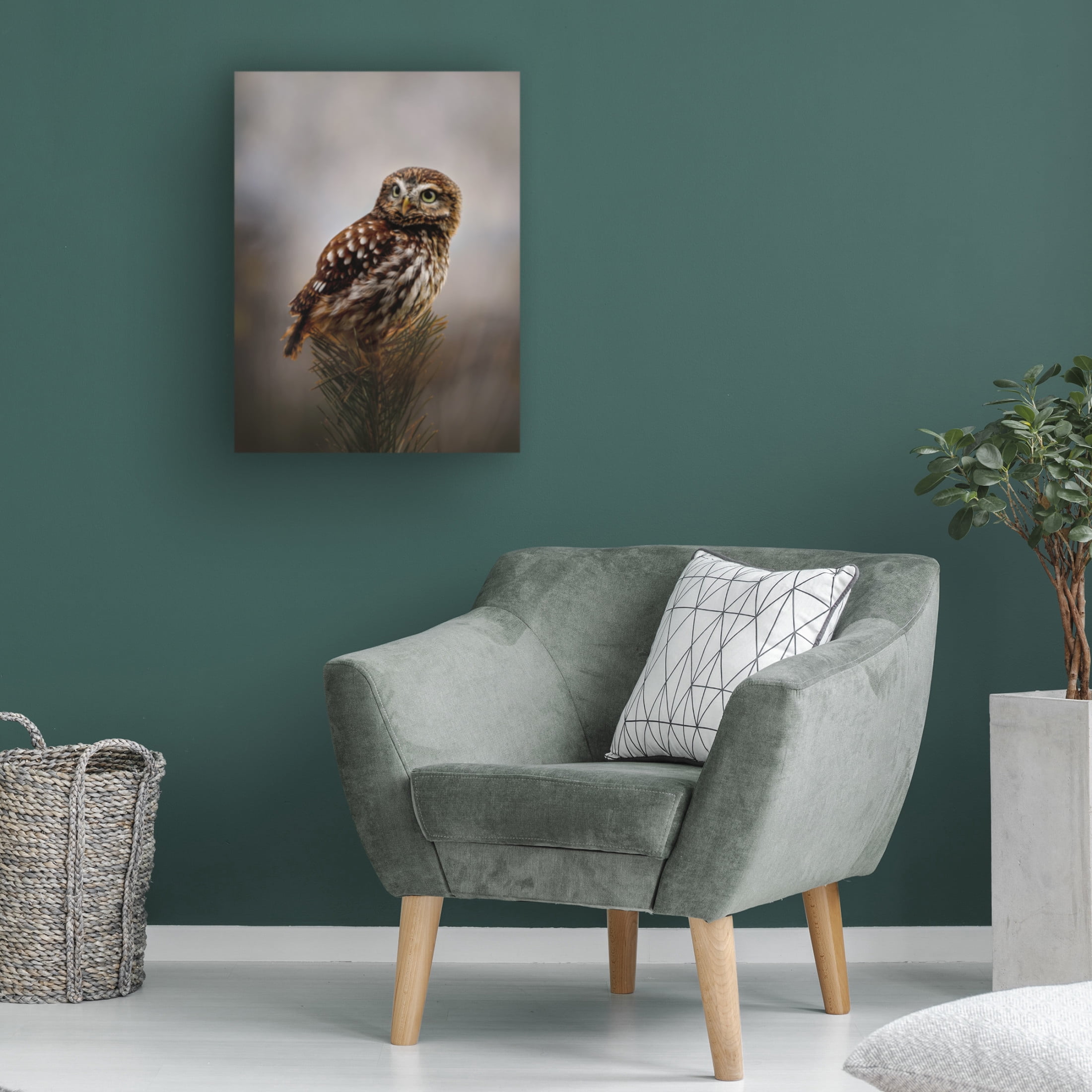 Trademark Fine Art Michaela Firesova Morning with owl Canvas Wall Art