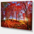 thumbnail image 2 of Red Autumn Forest in Carpathians, 2 of 3