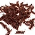 thumbnail image 4 of HUASHENG 10Pcs Creative PVC Artificial centipede Animal Model Toys, 4 of 5